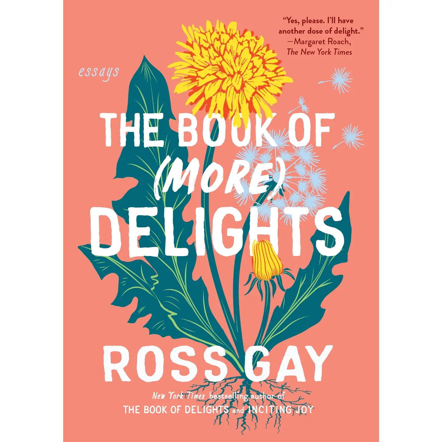 The Book of (More) Delights (Paperback)