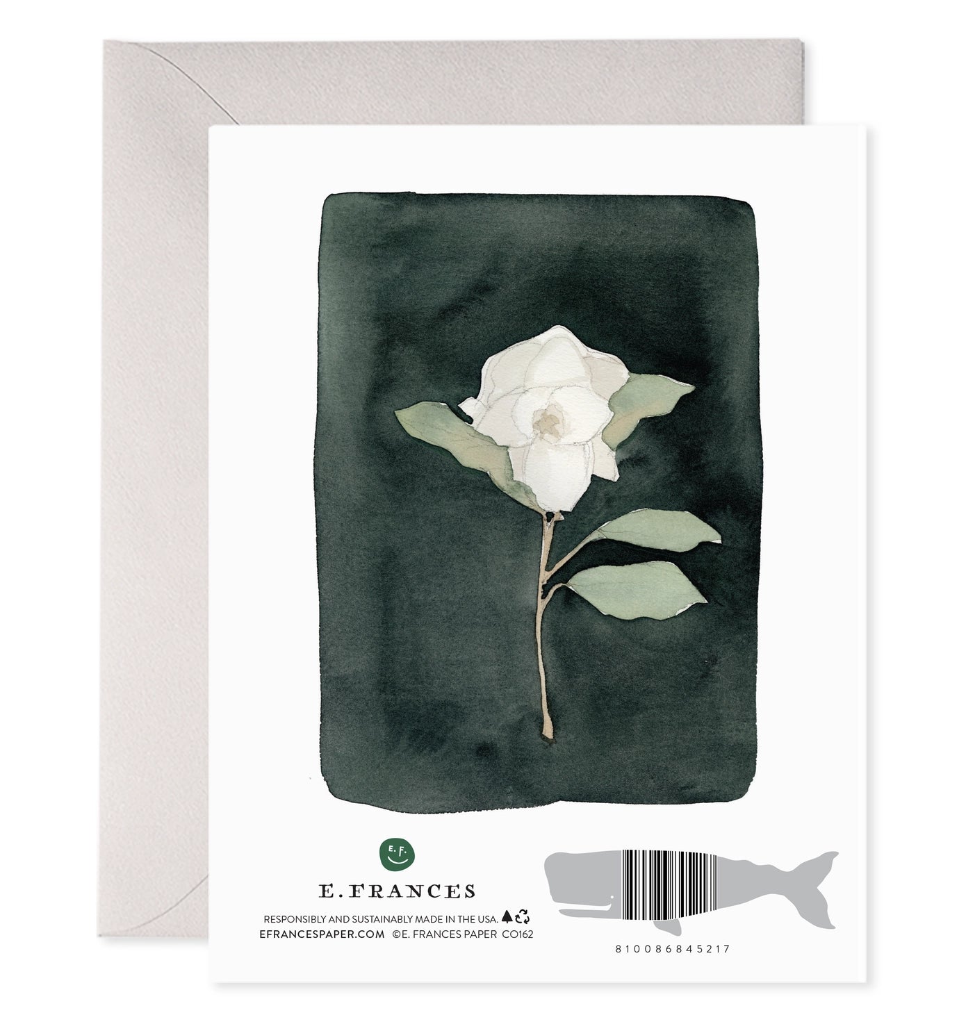 White Flower Sympathy Card