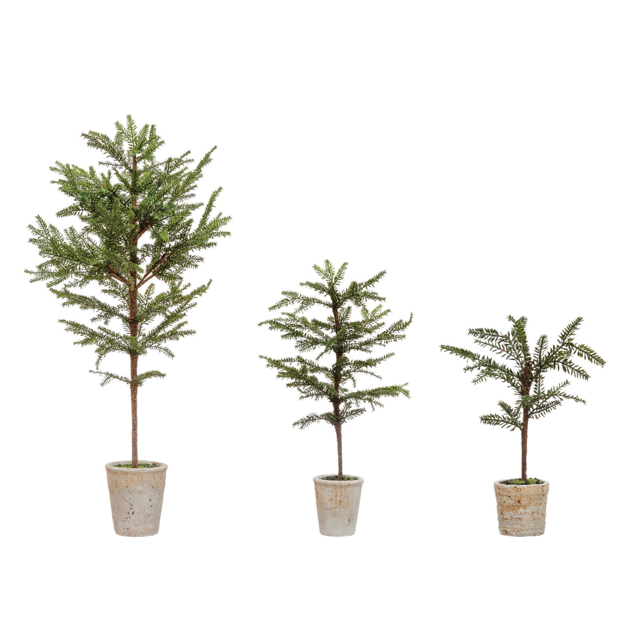 Faux Pine Tree in Distressed White Terracotta Pot