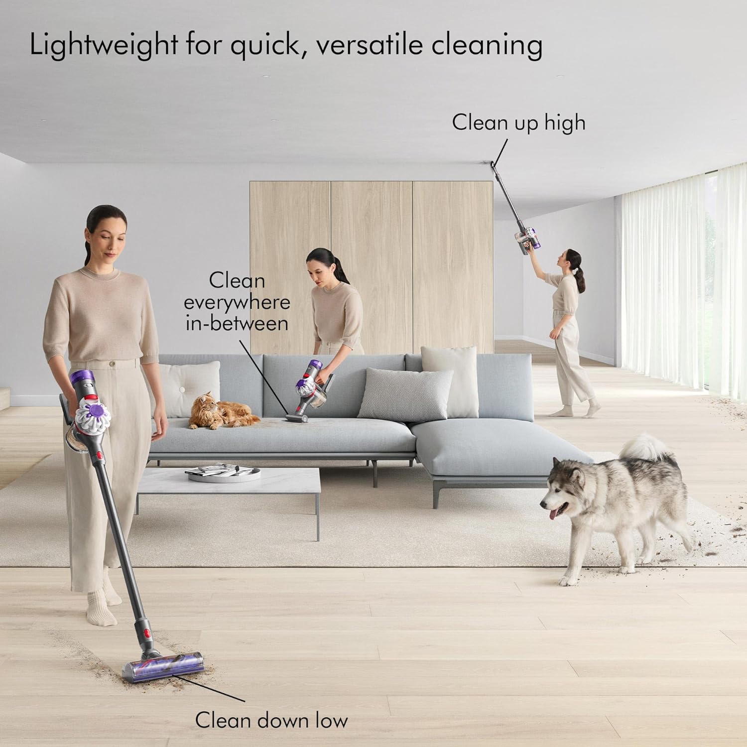Aspirateur sans fil Dyson V8