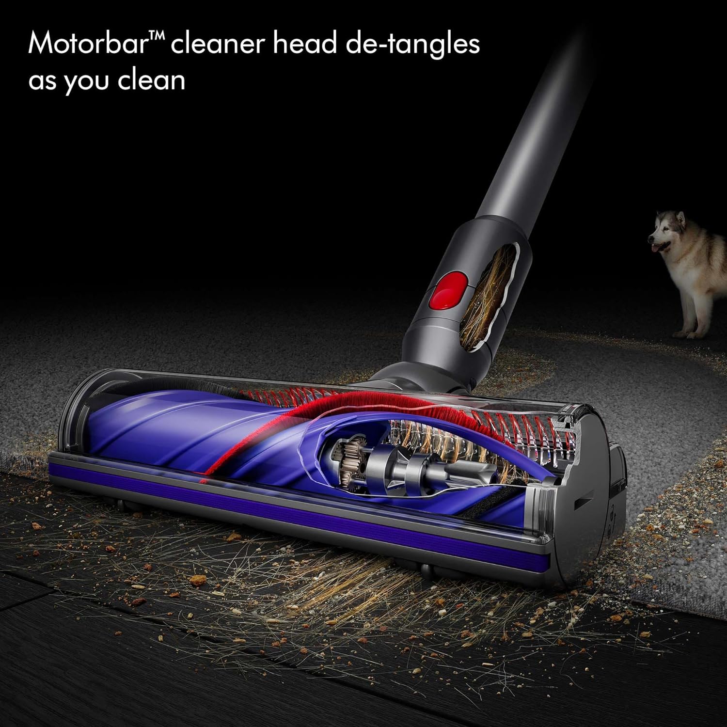 Aspirateur sans fil Dyson V8